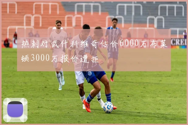 热刺对武什科维奇估价6000万布莱顿3000万报价遭拒